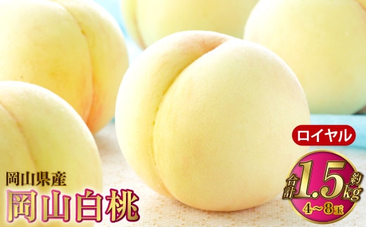 岡山白桃 ロイヤル 4~8玉 約1.5kg 岡山県産【2026年7月上旬~8月下旬発送予定】 白桃 桃 もも モモ