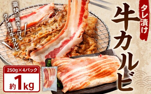 タレ漬け 牛カルビ 1.0kg (250g×4パック) 牛肉 牛 お肉 肉 たれ タレ カルビ 焼き肉 焼肉 小分け 冷凍