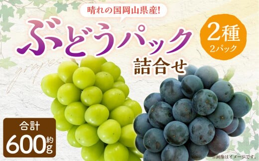 岡山県産 ぶどう パック 詰合せ ※2種2パックセット 計約600g 【2026年9月上旬~10月下旬発送予定】 岡山 シャインマスカット ニューピオーネ 果物 くだもの フルーツ ブドウ 葡萄 セット
