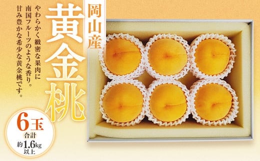 黄金桃 6玉(合計1.6kg以上) 化粧箱入り 【2026年8月下旬~9月上旬迄発送予定】 黄金 モモ もも 桃 フルーツ 果物 国産