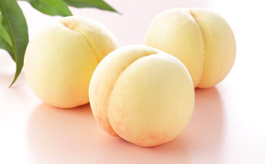 岡山 白桃 エース 8~16玉 計約4kg 岡山県産 【2026年7月上旬~8月下旬迄発送予定】 フルーツ 果物 くだもの モモ 桃 もも 冷蔵 国産