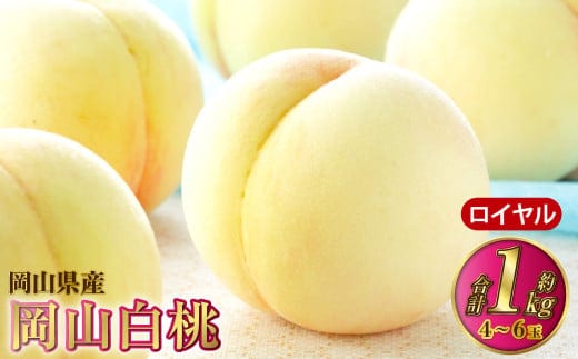 岡山白桃 ロイヤル 4~6玉 約1kg 岡山県産【2026年7月上旬~8月下旬発送予定】 白桃 桃 もも モモ
