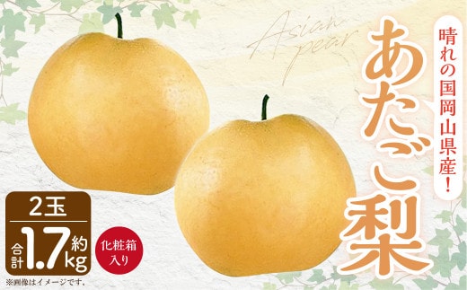 岡山県産 あたご梨 2玉 (約1.7kg) 化粧箱入り 【2026年11月下旬~12月下旬発送予定】 果物 くだもの フルーツ 梨 なし 贈答 ギフト 岡山 大玉