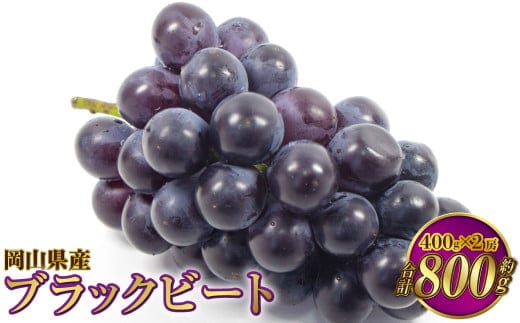 岡山県産 ブラックビート 約800g(約400g×2房)【2026年8月上旬~9月上旬発送予定】 ぶどう ブドウ 葡萄