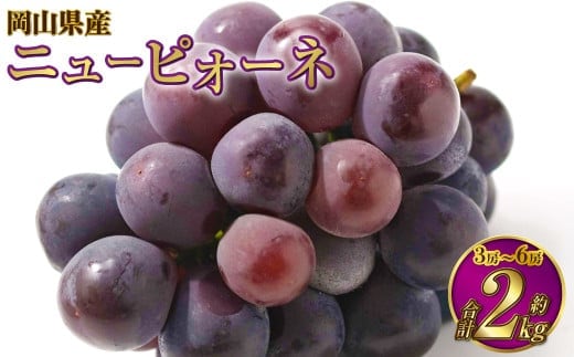 岡山県産 ニューピオーネ 約2kg(3房~6房) 【2026年6月下旬~7月下旬発送予定】 ピオーネ ぶどう 葡萄 ブドウ 種なし