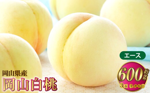 岡山白桃 エース 3玉×約200g(Lサイズ) 計約600g 岡山県産【2026年7月上旬~8月下旬発送予定】 白桃 桃 もも モモ