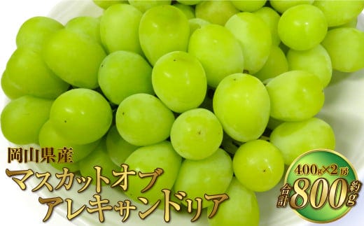 岡山県産 マスカットオブアレキサンドリア 約800g(400g×2房) 【2026年8月下旬~9月下旬迄発送予定】 果物 くだもの フルーツ ぶどう ブドウ 葡萄 マスカット