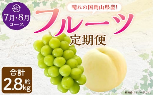 【2回定期便】岡山県産 フルーツ定期便コース (白桃・ 晴王) 計約2.8kg 【2026年7月上旬発送開始】 白桃 桃 もも シャインマスカット 晴王 ぶどう 葡萄 マスカット フルーツ 果物 くだもの 岡山