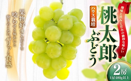 岡山県産 桃太郎ぶどう 2房 ( 1房480g以上 ) ハウス栽培 果物 くだもの 果実 フルーツ 葡萄 ぶどう ブドウ 国産 皮ごと 【 2026年7月上旬~8月下旬発送予定 】