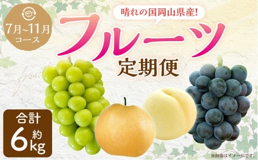 【5回定期便】 岡山県産 フルーツ定期便コース【2026年7月上旬発送開始】定期便 フルーツ 果物 くだもの 葡萄 ぶどう ブドウ 梨 なし ナシ 桃 もも モモ マスカット 贈答品 ギフト