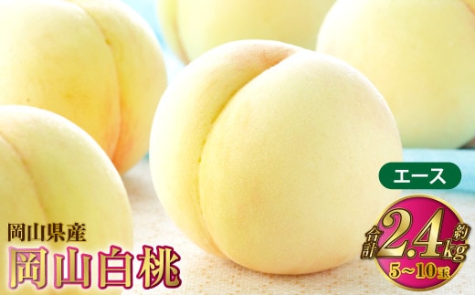 岡山白桃 エース 5~10玉 約2.4kg 岡山県産【2026年7月上旬~8月下旬発送予定】 白桃 桃 もも モモ