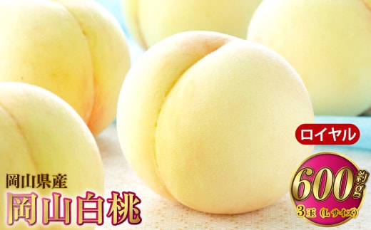 岡山白桃 ロイヤル 3玉×約200g(Lサイズ) 計約600g 岡山県産【2026年7月上旬~8月下旬発送予定】 白桃 桃 もも モモ