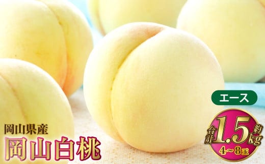 岡山白桃 エース 4~8玉 約1.5kg 岡山県産【2026年7月上旬~8月下旬発送予定】 白桃 桃 もも モモ