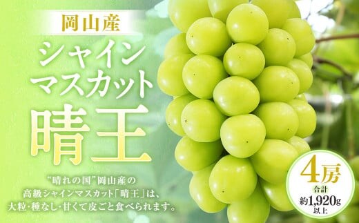 シャインマスカット 晴王 4房(1房480g以上・合計1.92kg以上)【2026年8月下旬~10月下旬迄発送予定】 マスカット 葡萄 ブドウ ぶどう フルーツ 果物 国産 岡山県産