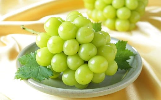 ご家庭用 シャインマスカット 晴王 約400g×1房 【2026年8月下旬~11月下旬迄発送】 岡山 種無し 種なし マスカット 果物 くだもの フルーツ ぶどう ブドウ 葡萄 国産 冷蔵