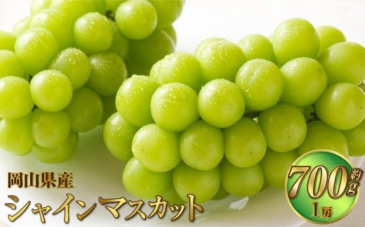 岡山県産 シャインマスカット 晴王 約700g(1房) 果物 フルーツ くだもの ぶどう ブドウ 葡萄 マスカット 種なし 種無し 冷蔵 国産 奈義町 【2026年7月上旬~8月下旬発送予定】