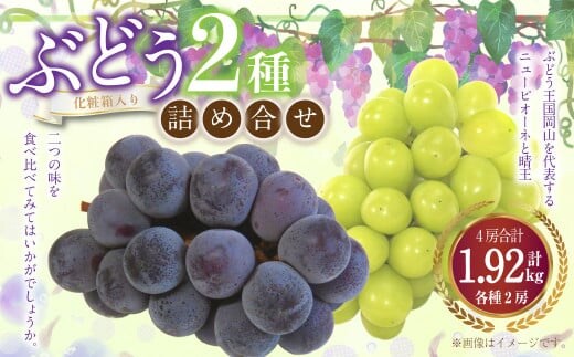 詰合 ニューピオーネ 2房 シャインマスカット 晴王 2房(1房各480g以上)計1.92kg以上 化粧箱入り 【2026年9月上旬~10月上旬迄発送予定】 ぶどう ブドウ 葡萄 マスカット ピオーネ 種なし 果物 くだもの フルーツ セット 冷蔵 国産
