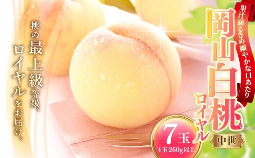 岡山白桃 ( 中世 ) 7玉 ( 1玉260g以上 ) 果汁 糖度 果肉 有袋栽培 くだもの 果物 果実 白桃 もも モモ 桃 国産 岡山県産 フルーツ 【 2026年7月上旬~8月下旬発送予定 】