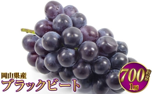 岡山県産 ブラックビート 約700g(1房)【2026年8月上旬~9月上旬発送予定】 ぶどう ブドウ 葡萄
