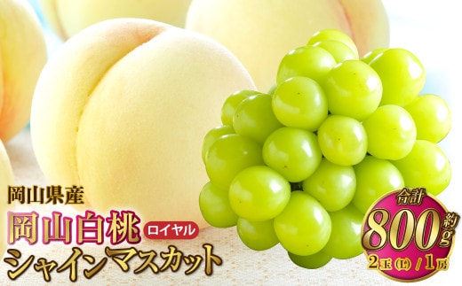 岡山県産 岡山白桃 ロイヤル Lサイズ 約200g×2玉・シャインマスカット 晴王 約400g×1房 詰合せ 【2026年7月上旬~8月下旬発送予定】 白桃 桃 もも モモ マスカット ぶどう 葡萄 ブドウ セット