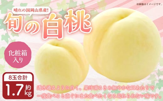 岡山県産 旬の白桃 8玉 (計1.7kg以上)【2026年7月上旬~8月上旬迄発送予定】 化粧箱入り 果物 くだもの フルーツ 桃 もも モモ 白桃 旬 岡山 おかやま 国産 冷蔵