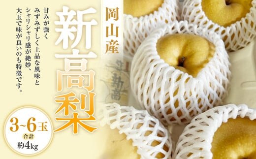 新高梨 3-6玉(合計約4kg) 化粧箱入り 【2026年9月下旬~11月上旬迄発送予定】 なし 梨 ナシ 国産 フルーツ 果物 ギフト 岡山県産