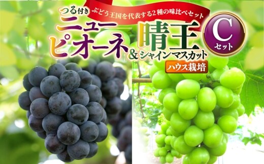 つる付き!ニューピオーネ & 晴王 シャインマスカット Cセット ハウス栽培 ブドウ ぶどう 葡萄 果物 くだもの フルーツ 果実 マスカット 食べ比べ 【 2026年7月上旬~8月上旬発送予定 】