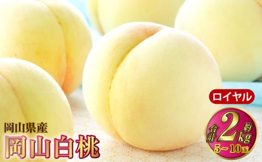 岡山白桃 ロイヤル 5~10玉 約2kg 岡山県産【2026年7月上旬~8月下旬発送予定】 白桃 桃 もも モモ