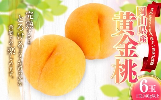 岡山県産 黄金桃 6玉 ( 1玉240g以上 ) もも モモ 桃 甘味 完熟 果肉 フルーツ 果汁 果皮 黄金 くだもの 果物 果実 国産 岡山県産 【 2026年9月上旬~9月下旬発送予定 】
