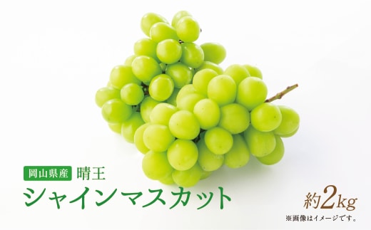 【岡山県産】晴王 シャインマスカット 約2.0kg以上 【2026年9月上旬~2026年11月下旬発送予定】 マスカット ぶどう ブドウ 葡萄