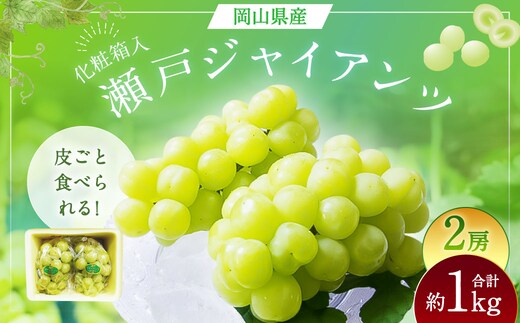 瀬戸ジャイアンツ 2房 (1房480g以上) 合計約1kg 化粧箱入り 【2026年9月上旬~10月上旬まで発送予定】 / マスカット 葡萄 ぶどう 果物 果実 フルーツ 皮ごと 岡山県 美咲町 冷蔵