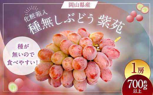 紫苑 1房(700g以上) 化粧箱入り 【2026年10月下旬~11月下旬まで発送予定】 / 葡萄 ぶどう 果物 果実 フルーツ 種なし 岡山県 美咲町 冷蔵