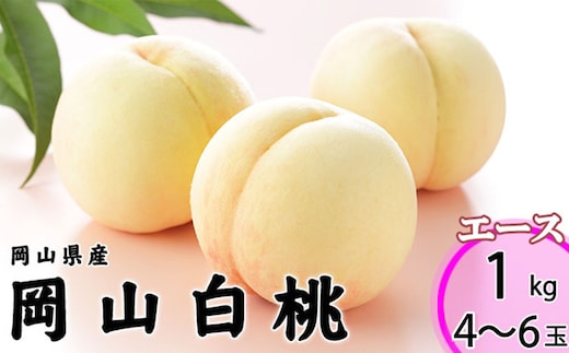 岡山白桃 エース 4~6玉 約1kg 岡山県産 (早生種・中生種) 【2026年7月上旬~8月下旬迄発送予定】 / 白桃 桃 もも 果物 果実 フルーツ 岡山県 美咲町 冷蔵