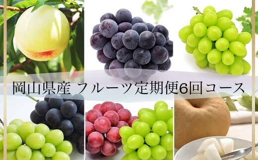 【全6回定期便】 岡山県産 フルーツ定期便 <お一人様向け> 【2026年7月上旬~12月下旬迄発送予定】 白桃 ピオーネ シャインマスカット あたご梨 瀬戸内 果物 くだもの 果実 フルーツ ぶどう もも ブドウ モモ 葡萄 桃 岡山白桃 ニューピオーネ 晴王 食べ比べ 瀬戸ジャイアンツ 桃太郎ぶどう 紫苑 クインニーナ なし ナシ 梨 化粧箱 贈り物 ギフト プレゼント 定期 定期便