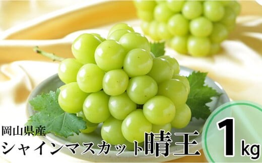 シャインマスカット 晴王 約500g×2房 (計約1kg) 【2026年8月下旬~11月下旬迄発送 / マスカット 葡萄 ぶどう 果物 果実 フルーツ 種なし 皮ごと 大粒 岡山県 美咲町 冷蔵
