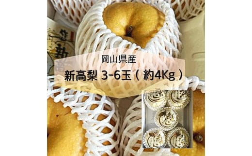 新高 梨 3~6玉 (約4kg) 化粧箱入り【2026年9月下旬~11月上旬迄発送予定】 / なし 和梨 果物 果実 フルーツ 大玉 岡山県 美咲町 常温