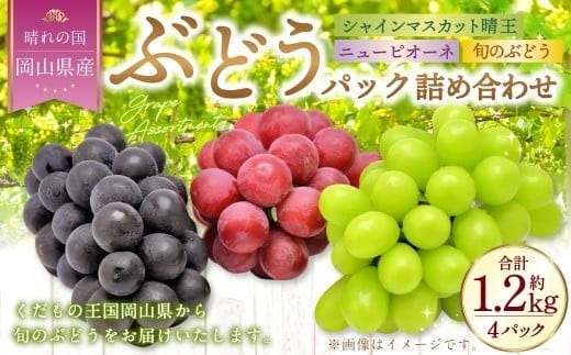岡山県産 ぶどうパック詰合せ ※3種4パックセット ( ニューピオーネ ・ シャインマスカット ・ 旬のぶどう ) 【2026年9月上旬~10月下旬発送予定】 / ぶどう ブドウ 葡萄 種なし 種無し ピオーネ マスカット 晴王 はるお 旬の葡萄 フルーツ 果物 くだもの 果実
