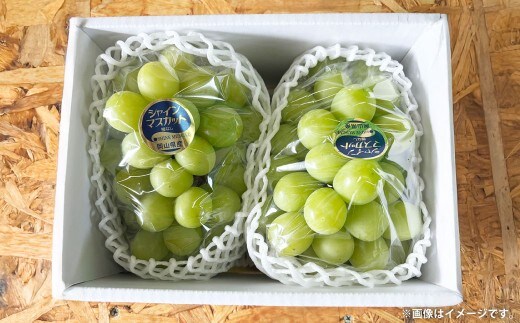 ぶどう 2026年 先行予約 シャイン マスカット 1房 700g以上 【2026年9月上旬~9月下旬発送予定】 / ブドウ 葡萄 シャインマスカット 種なし 皮ごと 岡山県産 国産 フルーツ 果物 ギフト 河本農園 岡山県 美咲町 冷蔵