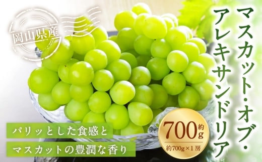 岡山県産 マスカット・オブ・アレキサンドリア 約700g( 700g×1房 ) ぶどう ブドウ 葡萄 くだもの 果物 果実 フルーツ 国産 マスカット【 2026年8月下旬~9月下旬発送予定 】