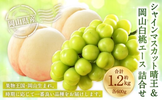 岡山県産 岡山白桃 エース 3Lサイズ 約300g×2玉・ シャインマスカット 晴王 約600g×1房 詰合せ 白桃 モモ もも 桃 ぶどう ブドウ 葡萄 マスカット くだもの 果物 果実 フルーツ 国産 家庭用 ギフト 贈り物 贈答 【 2026年7月上旬~8月下旬発送予定 】
