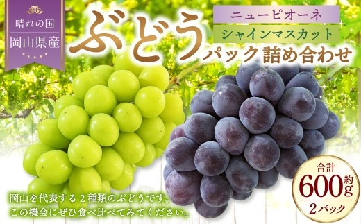岡山県産 ぶどうパック詰合せ ※2種2パックセット ( ニューピオーネ ・ シャインマスカット )【2026年9月上旬~10月下旬発送予定】 / ぶどう ブドウ 葡萄 種なし 種無し ピオーネ マスカット 晴王 はるお フルーツ 果物 くだもの 果実