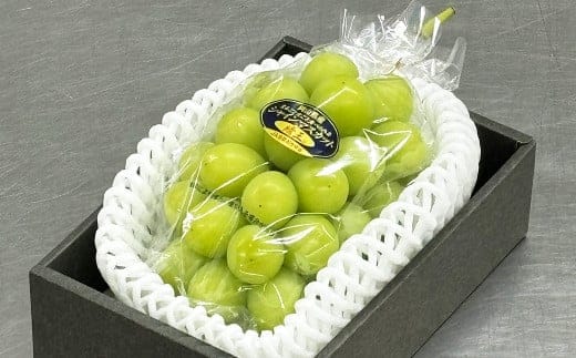 ご家庭用 シャインマスカット 晴王 約400g×1房 【2026年8月下旬~11月下旬迄発送】 / マスカット 葡萄 ぶどう 果物 果実 フルーツ 種なし 皮ごと 大粒 家庭用 岡山県 美咲町 冷蔵