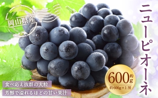 岡山県産 ニューピオーネ 約600g ( 600g×1房 ) ぶどう ブドウ 葡萄 種なし 種無し くだもの 果物 果実 フルーツ 国産 【 2026年8月下旬~9月下旬発送予定 】