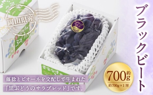 岡山県産 ブラックビート 約700g ( 約700g×1房 ) ぶどう ブドウ 葡萄 くだもの 果物 果実 フルーツ 国産 黒ぶどう 【 2026年8月上旬~9月上旬発送予定 】