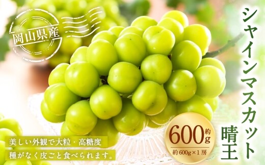 岡山県産 シャインマスカット 晴王 約600g ( 約600g×1房 ) ぶどう ブドウ 葡萄 くだもの 果物 果実 フルーツ 国産 マスカット 【 2026年7月上旬~8月下旬発送予定 】