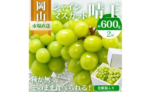岡山県産 シャインマスカット『晴王』2房(1房600g以上) 化粧箱入り 【2026年8月下旬-10月上旬迄発送予定】 / マスカット 葡萄 ぶどう 果物 果実 フルーツ 岡山県 美咲町 冷蔵
