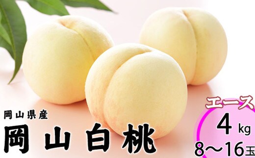 岡山白桃 エース 8~16玉 約4kg 岡山県産 (早生種・中生種) 【2026年7月上旬~8月下旬迄発送予定】 / 白桃 桃 もも 果物 果実 フルーツ 岡山県 美咲町 冷蔵