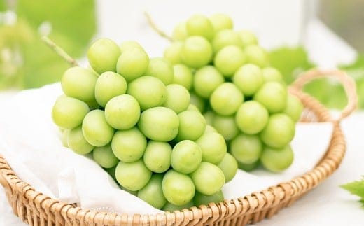 プレミアム 大粒 シャインマスカット 2房 (1.3kg以上) 【2026年8月下旬から10月上旬頃発送予定】 / くだもの 果物 果実 フルーツ ぶどう ブドウ 葡萄 マスカット 冷蔵 岡山県 美咲町