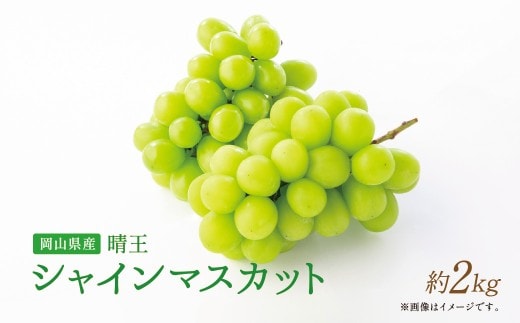 【岡山県産】 シャインマスカット約2.0kg (3~4房)【2026年9月上旬?11月下旬発送予定】 / ぶどう ブドウ 葡萄 マスカット 種なし 種無し フルーツ 果物 くだもの 果実