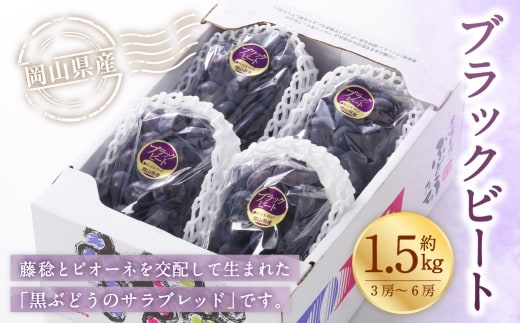 岡山県産 ブラックビート 約1.5kg ( 3房~6房 ) ぶどう ブドウ 葡萄 くだもの 果物 果実 フルーツ 国産 黒ぶどう 【 2026年8月上旬~9月上旬発送予定 】